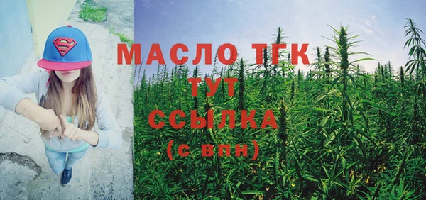 амф Гусиноозёрск