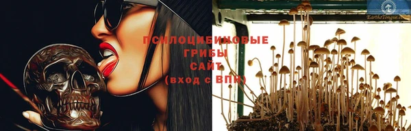 спиды Гусев