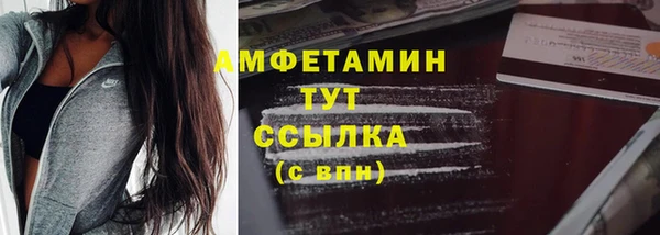 спиды Гусев