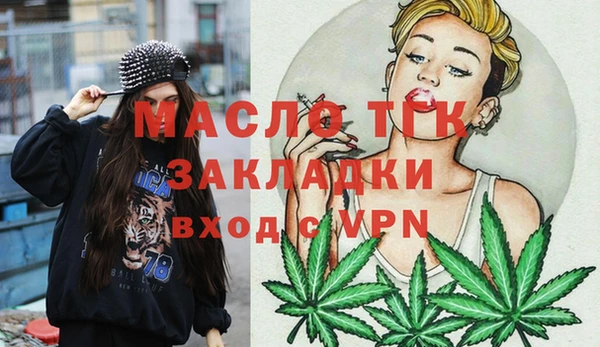 спиды Гусев
