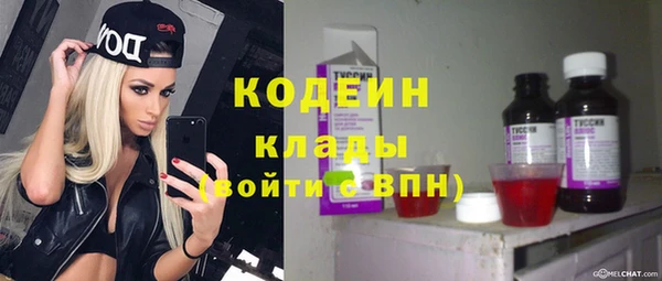 спиды Гусев