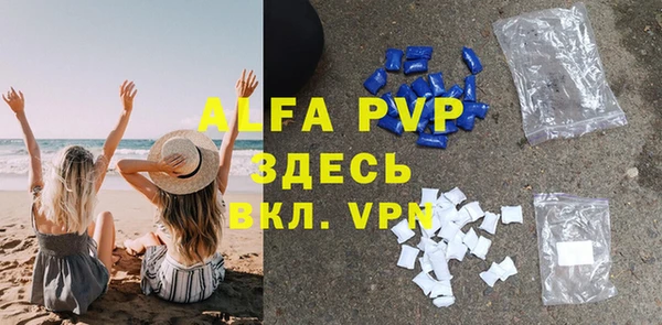 амф Гусиноозёрск