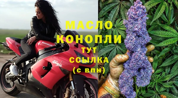 спиды Гусев