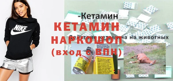 спиды Гусев