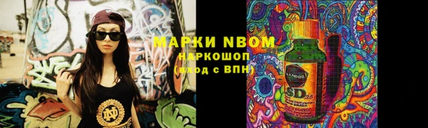 амф Гусиноозёрск
