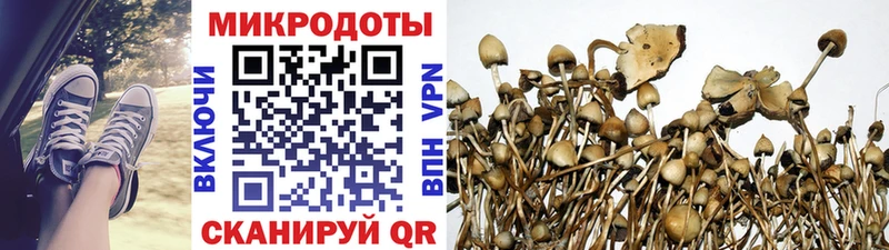 Галлюциногенные грибы Cubensis  Кимры 