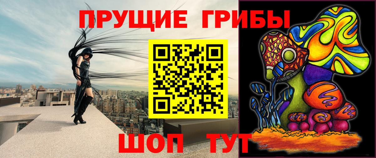 Псилоцибиновые грибы прущие грибы  Вход с VPN  Кимры 